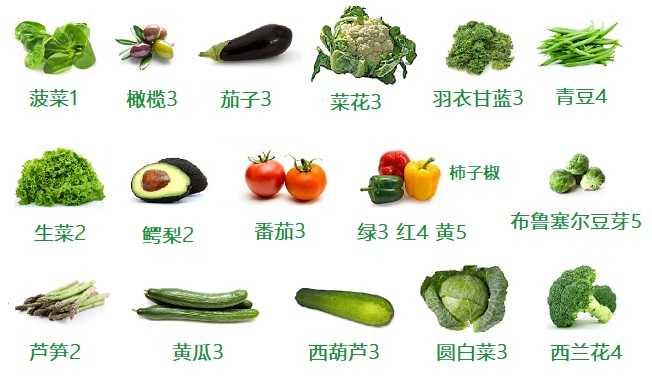碳水含量低的蔬菜有哪些